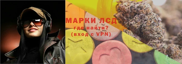 гидра Володарск