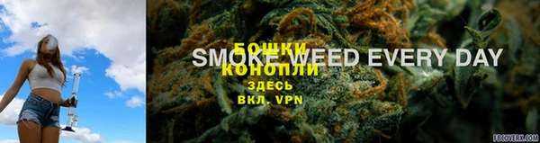 дурь Волосово