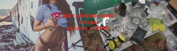 прущие грибы Вязники
