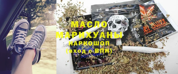 гидра Володарск