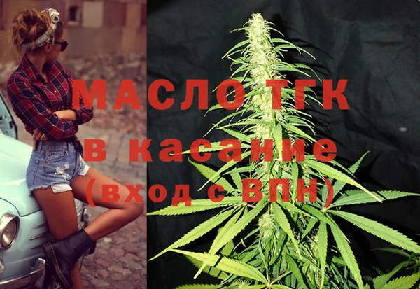 гидра Володарск