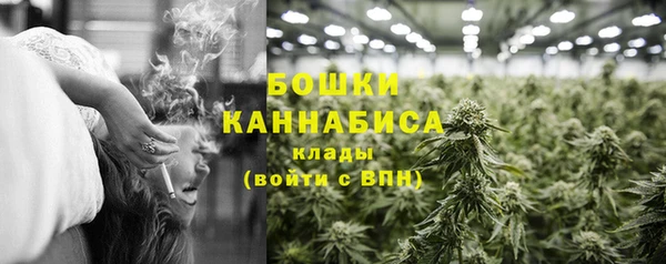 дурь Волосово