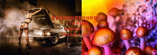 наркотики Вязьма