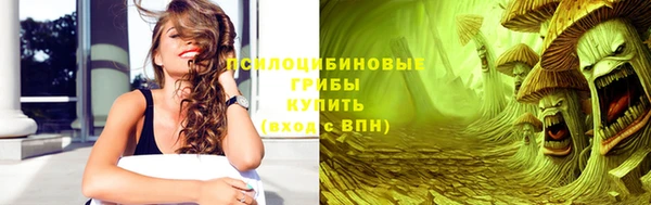 гидра Володарск